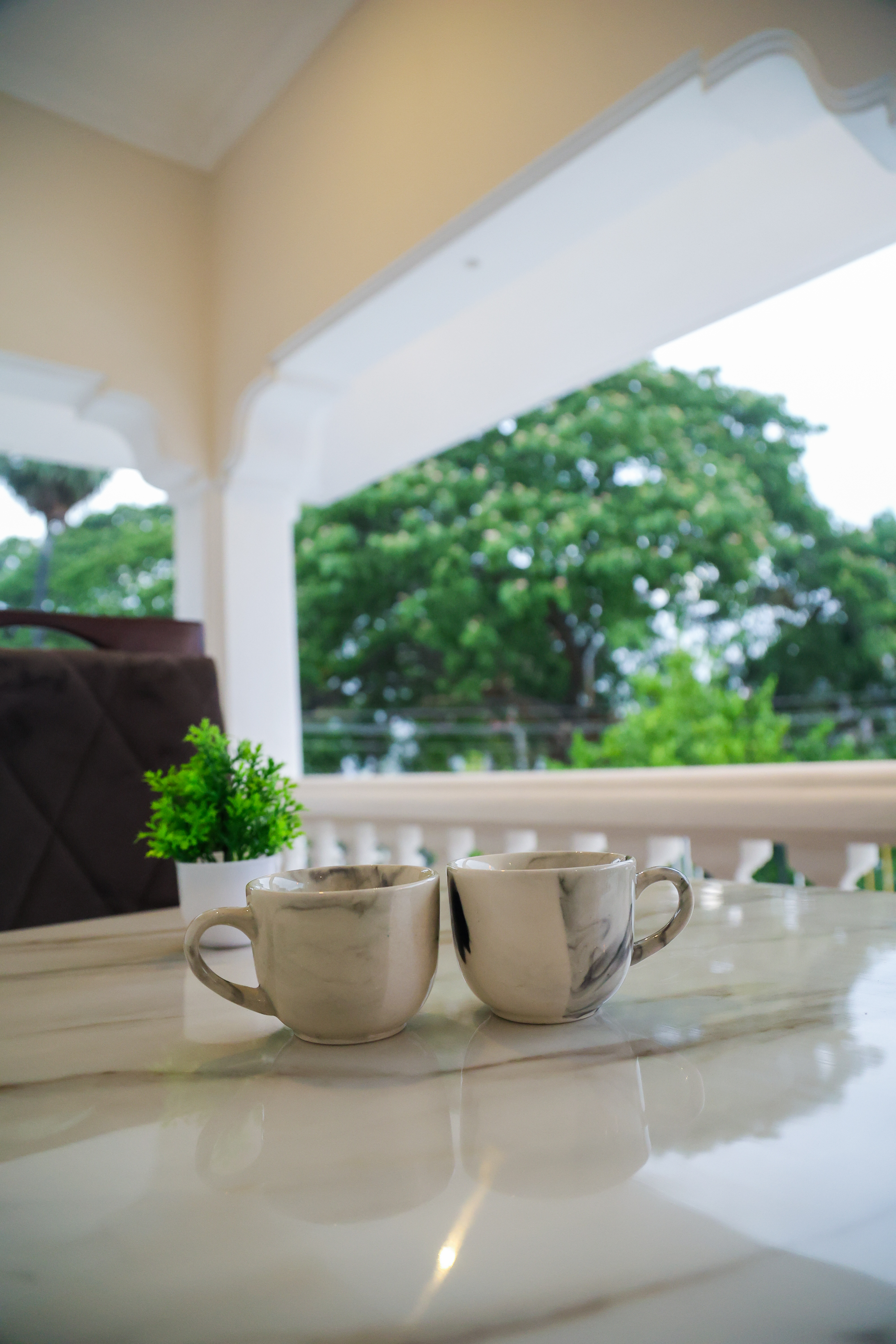 Lounge Area and Green Garden Space at Castle 360 Inn